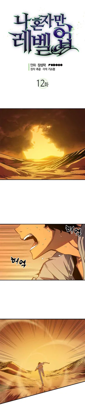 Chapter 12
