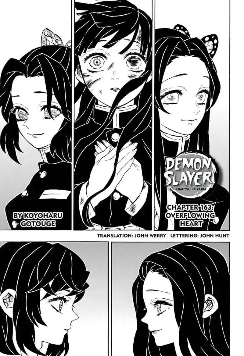 Chapter 163