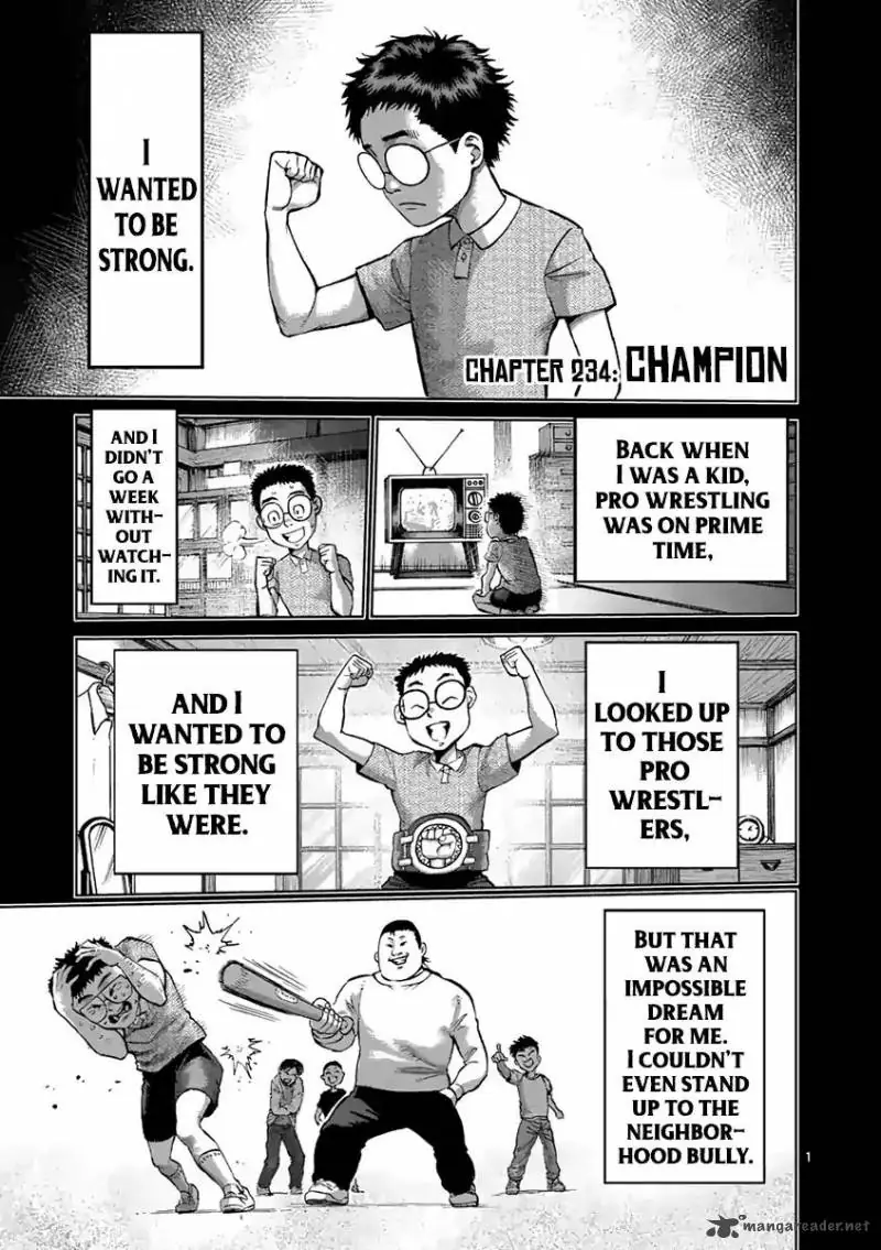 Chapter 234