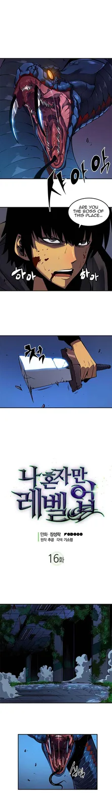 Chapter 16