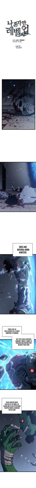 Chapter 117